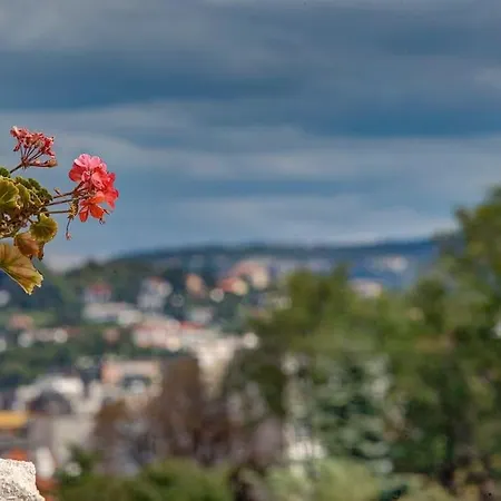 Διαμέρισμα Mansarda Al Castello